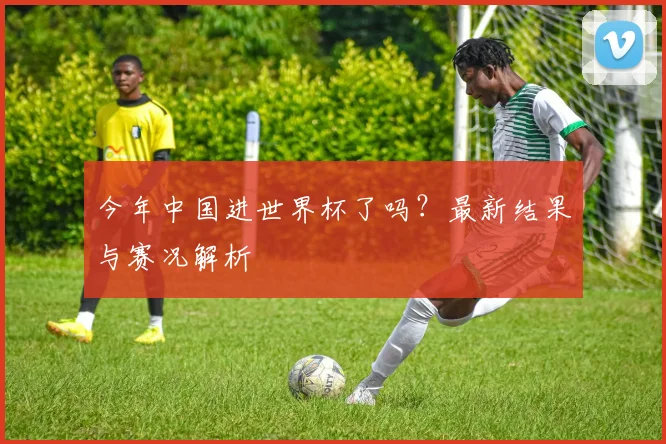 今年中国进世界杯了吗?最新结果与赛况解析
