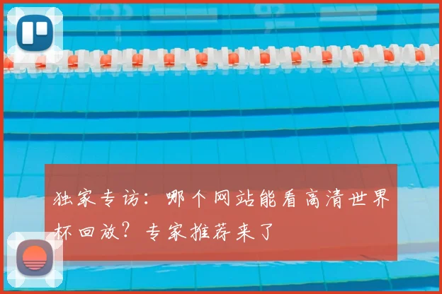 独家专访：哪个网站能看高清世界杯回放？专家推荐来了