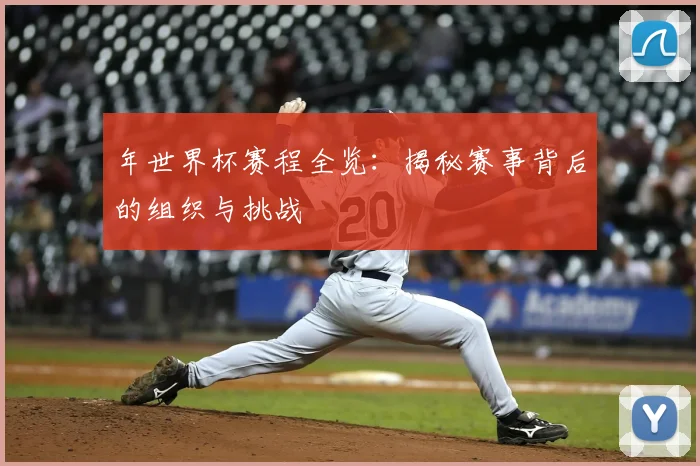 年世界杯赛程全览：揭秘赛事背后的组织与挑战