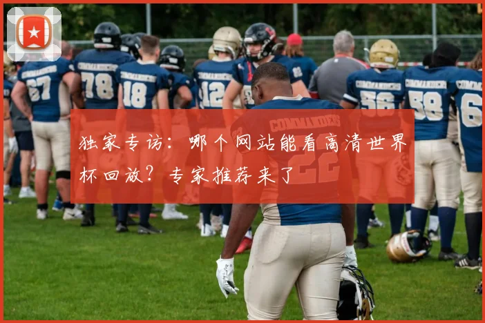 独家专访：哪个网站能看高清世界杯回放？专家推荐来了
