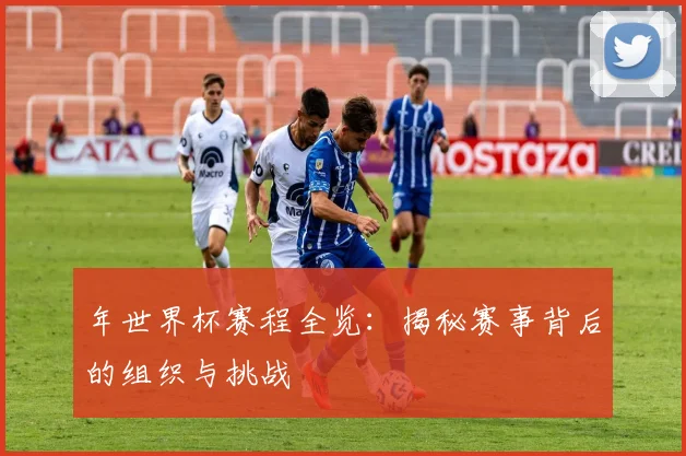 年世界杯赛程全览：揭秘赛事背后的组织与挑战