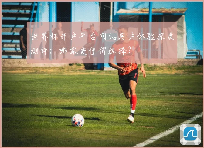 世界杯开户平台网站用户体验深度测评：哪家更值得选择？