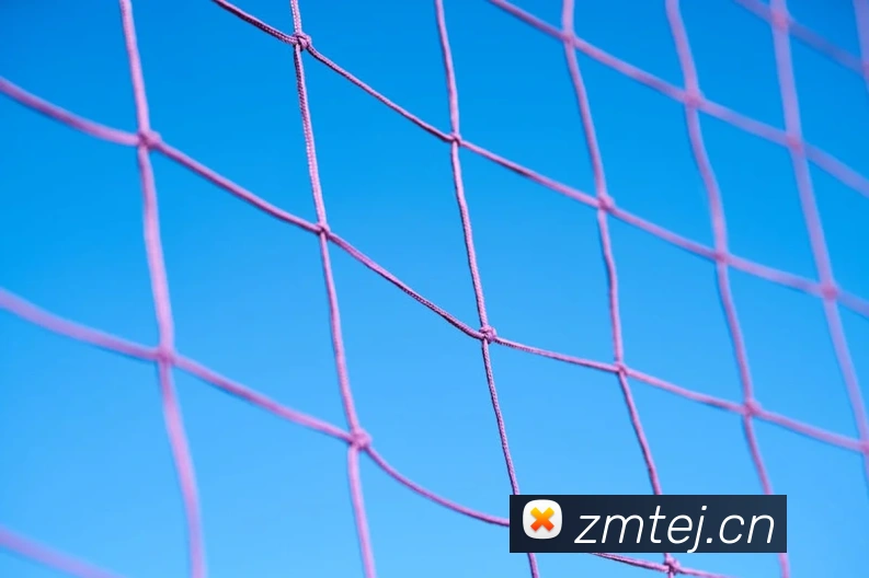 乐鱼体育在线平台官网APP 封面图